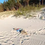 Lägenhet Azure Baltic B&m