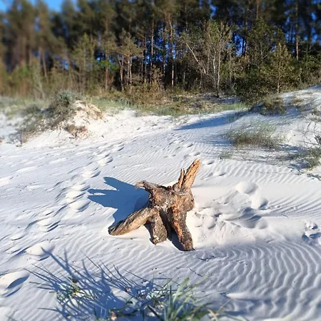 Apartment Azure Baltic B&m *