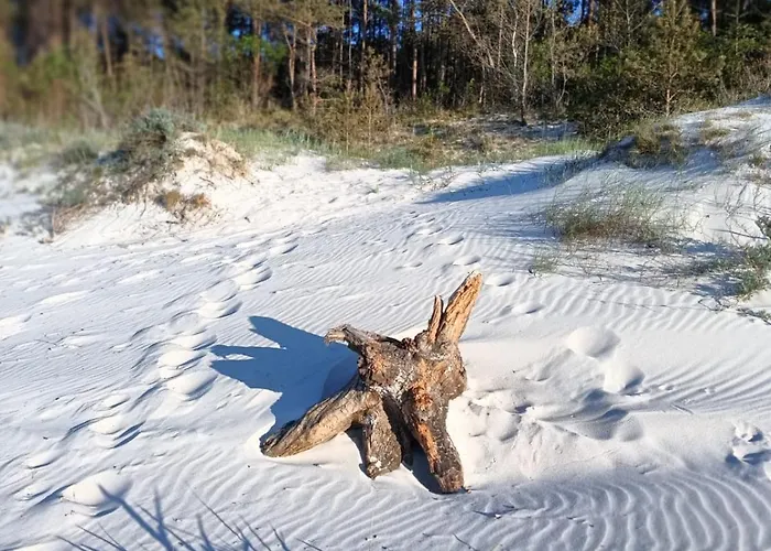 Apartment Azure Baltic B&m *