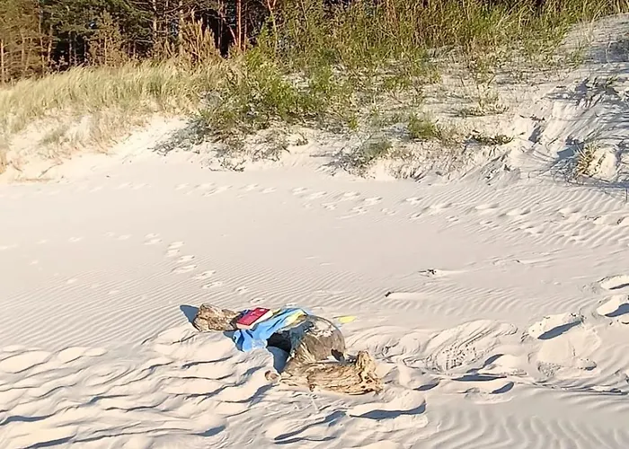 Apartment Azure Baltic B&m